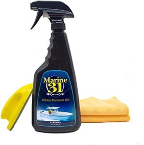 Marine 31 