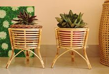 ZILVER: Living with Nature Handcrafted Natural Cane Flower Pot Stand, Rattan, Beige Brown Color, Pack of 2