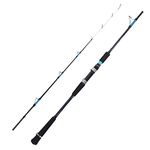 Fishing Rods,Luminous Fishing Offshore Trolling Rod for Deep Sea Offshore Fishing (1.65m / 5.4ft) Fishing Rods And Accessories