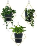 Koalaime 3 Sets of Wall Planters fo