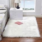 Long Plush Ultra Soft Fluffy Rugs R