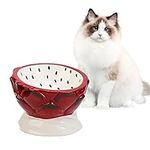 Tilted Elevated Cat Food Bowl - Rai