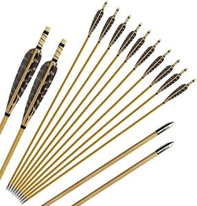 IRQ Handmade Archery Wooden Arrows 32" Longbows Target Arrows with Real Turkey Feathers Silver Point for Traditional Recurve Bow Longbow Horsebow Hunting Target Practice Gift 10Pcs