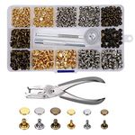 Leather Rivets 240 Set Double Cap Rivet Tubular Metal Studs 2 Sizes with Punch Pliers and 3 Pieces Setting Tool Kit for DIY Leather Craft Repairs Decoration 3 Colors