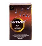 Spermicide For Women Foam