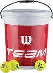 Wilson Tennis Balls, Team Trainer, 