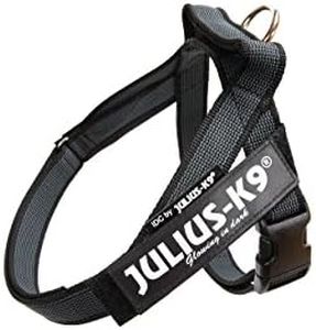 Julius-K9 