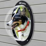 H&B Luxuries Durable Acrylic Dome Dog Window for Fence to View Outside for Satisfying Curious Pets FW058