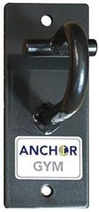 Anchor Gym - H1 Unit | One Workout Wall Mount Anchor - Wall or Ceiling Mounting Hooks for Bands, Straps, and Ropes (All Hardware Included)