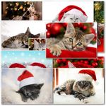 doodlecards Pack of 10 Mixed Cat Christmas Cards. Printed in UK, Premium Quality & 100% Recyclable.