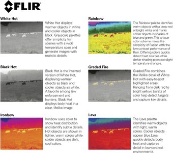 FLIR Scion OTM Thermal Monocular – Handheld Night Vision Scope