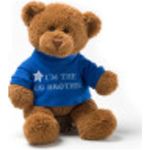 Enesco Gund I'm The Big Brother Message Bear Plush (12-inch)