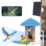 Remote Camera For Bird Watching