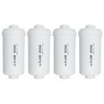 Renami Fluoride Filter, Replacement for Berkey® PF-2® Fluoride and Arsenic Reduction Elements, Compatible with Berkey® Gravity Filtration System, Natural Defluorination Filter Material, Pack of 4