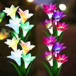 LIUNIAN 2PC Solar Lights Outdoor, Lily Solar Flower Lights, New Upgraded with Bigger Flower and Wider Solar Panel, Multi-Color Changing, for Garden, Patio, Backyard (Purple and White)