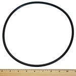 Pentair U9-373 Cord-Ring for Seal Plate Replacement for Select Sta-Rite Pool and Spa Pumps