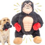 BIKIISEN Interactive Squeaky Dog Chew Toys with Natural Rubber Pectoral Muscles, Gum Massage Tough Dog Teething Toys to Keep Them Busy, Plush Tug of War Dog Toy for Small Medium Large Breed (Gorilla)