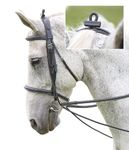 Shires Elastic Training Reins