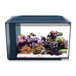 Fluval Sea Evo XII Saltwater Fish Tank Aquarium Kit, Black, 13.5 gal, 10531A1, 13.5 Gallon