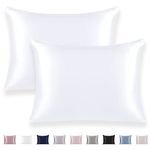 Texbee Silk Pillow Cases Queen, Silk Pillowcase 2Pack Both Sides Natural Silk Satin Pillow Covers with Hidden Zipper, Health,Soft and Smooth 20"x30"(Pure White)