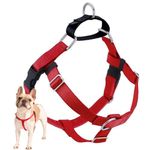 2 Hounds Design Freedom No Pull Dog Harness | Adjustable Gentle Comfortable Control for Easy Dog Walking | for Small Medium and Large Dogs | Made in USA | Leash Not Included | 1" LG Red