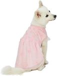 Blueberry Pet My Little Princess Dog Tulle Dress in Baby Pink with Dainty Flower, Back Length 16", Pack of 1 Clothes for Dogs