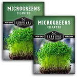 2 Packs Cilantro Microgreens Seeds for Planting and Growing - Plant Green Leafy Micro Herb Plants Indoors - Grow A Mini Windowsill Garden - Non-GMO Heirloom