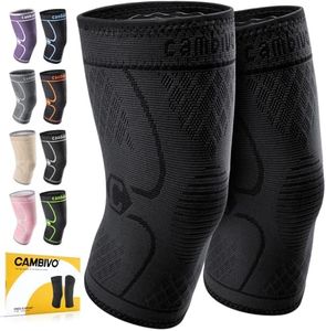 CAMBIVO 2 
