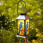 Solar Lanterns Outdoor Hanging Blue Jay Solar Lights Decorative for Garden Patio Porch and Tabletop PVC Waterproof LED Lantern (1pack)…