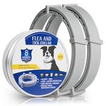 Dog Flea Collars