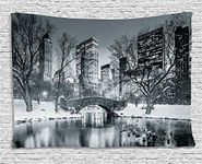 Ambesonne Landscape Tapestry, Cityscape New York City in Winter Central Park Snowy Buildings Photo Art, Wide Wall Hanging for Bedroom Living Room Dorm, 60" X 40", Grey and Dimgrey