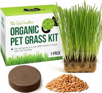 Cat Grass Growing Kit -Organic Seed, Soil and BPA Free containers (Non GMO). All of Our Seed is Locally sourced! (1 Pack)