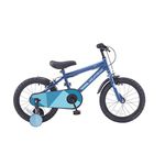 Wildtrak - 16 Inch Bike for Children 3-7 Years Old with Training Wheels - Blue