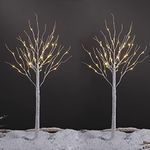 LIGHTSHARE 4 Feet Birch Tree, 48 LE