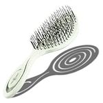 CHIARA AMBRA Bio Friendly Detangling Hair Brush for Women, Men & Children - Hair Straightening Brushes for Straight, Curly & Wet Hair - No Tugging Detangler - Vegan Vent Hairbrush – Mint Green