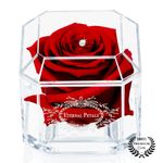 A 100% Real Rose That Lasts Years - Eternal Petals, Handmade in London - White Gold Solo with A Multicolor Swarovski Crystal (Deep Red)