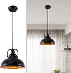 DuMaiWay Hanging Pendant Light, Ind