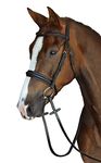 Collegiate Mono Crown Padded Raised Cavesson Bridle, Black, Cob