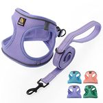 Dachshund Harness