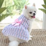 KUTKUT Frock Dress For Small Dog Girl Puppy Clothes Female Princess Tutu Striped Skirt Summer Shirt For Yorkii, Maltese Cat Pet Apparel Outfits (Size: M, Chest: 40Cm, Length: 30Cm), Multi