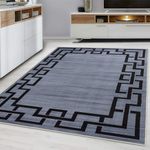 Hafaa Rugs Living Room Indoor Bedroom Runner Rug Grey - Greek key Style Printed Area Rugs Easy Care Soft Touch Floor Carpet (80x150cm, Nico)