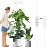 LORDEM 10" Grow Light for Indoor Plants, Full Spectrum Plant Lamp with160 LEDs, 4H/8H/12 Timer, 10 Dimmable Levels, 3 Spectrum Modes, Height Adjustable 61", Ideal for Growing Large Tall Plants