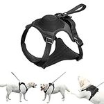 AMORONE Dog Harness, Upgrade 2-in-1 No Pull Dog Harness & Retractable Dog Leash【Auto-Lock Function】 No-Choke Pet Harness, Adjustable Soft Dog Vest with Handle and 2 Leash Clips(Black,L)