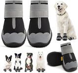 Dog Shoes for Small Dogs, Dog Boots