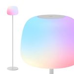 Govee Lantern Floor Lamp, Halo Gradient RGBICWW Smart Standing Lamp with Silicone Soft Lamp Shade, 1000K-10000K, 100+Scene Modes, Music Sync, 1400lm, Matter Compatible, Ideal for Living Room, Bedroom