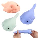 Lotvic 3 Pcs Blobfish Toy, Funny Squeeze Fish Toys, Stress Relief Toys for Kids and Adults, Cute Stretchy Fidget Toys, Sensory Toys for Autism, Scented Squishy Fish Toys for Birthday, Christmas