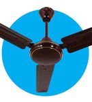 Maxim-ceiling-fans