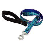 LupinePet Rain Song Padded Handle Dog Lead for Medium and Larger Dogs, 6-Feet