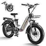 figoo S2 Fat Tire Electric Bike - 2