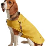 Rosewood x Joules Antique Gold Raincoat for Dogs, Medium, Washable, Lightweight, Water-Resistant Dog Coat for Medium Dogs